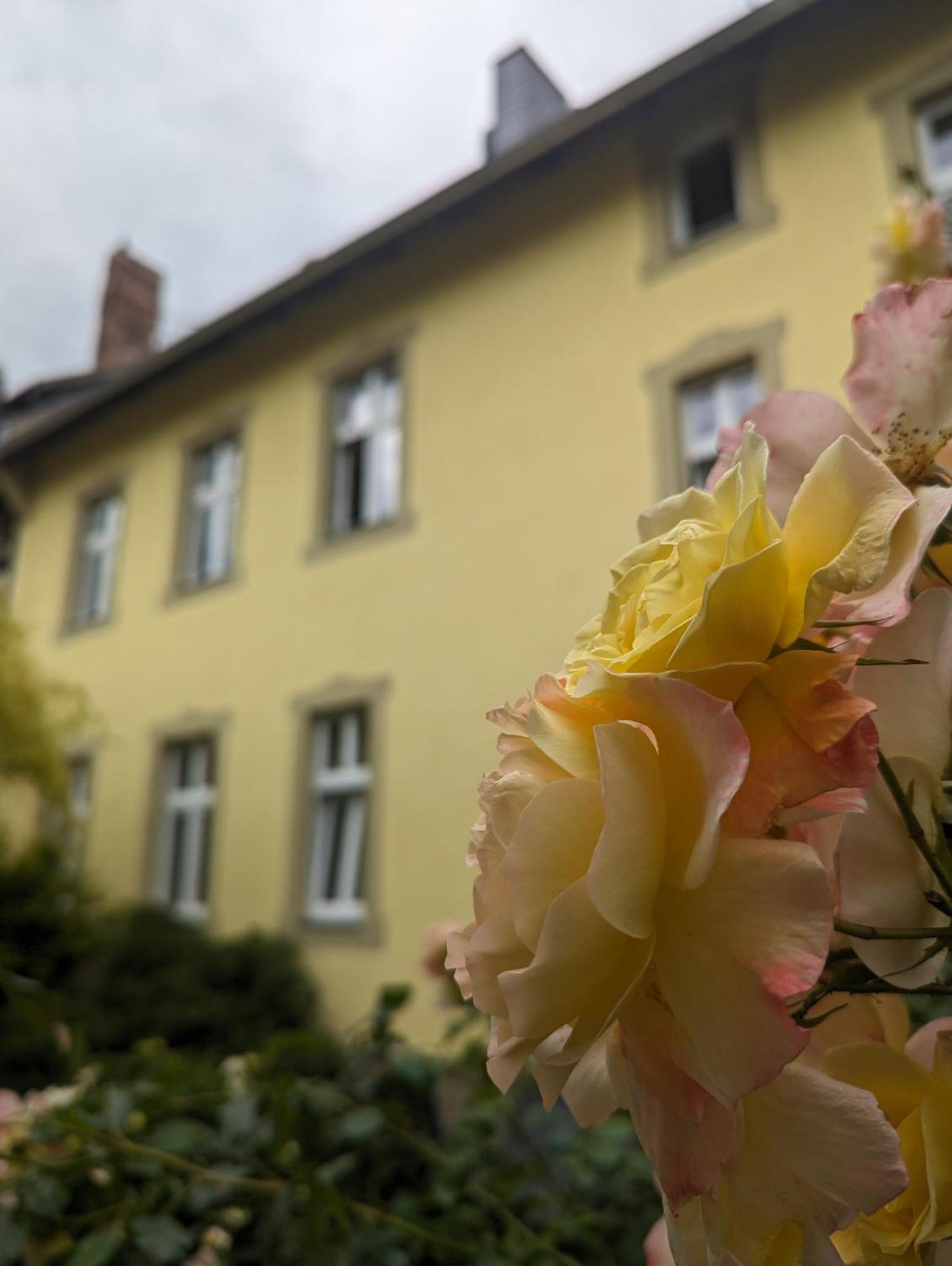 Atelier Wolkenschloss Wernigerode Εξωτερικό φωτογραφία